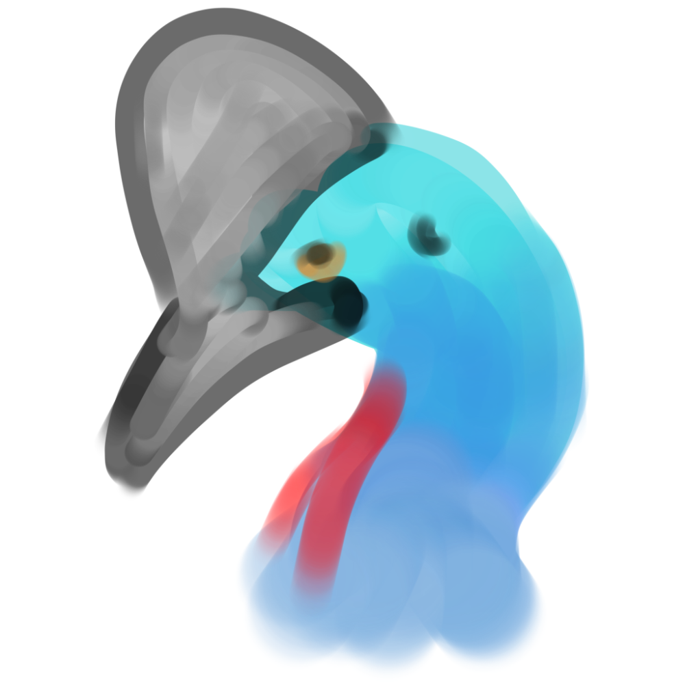 Cassowary Logo 2