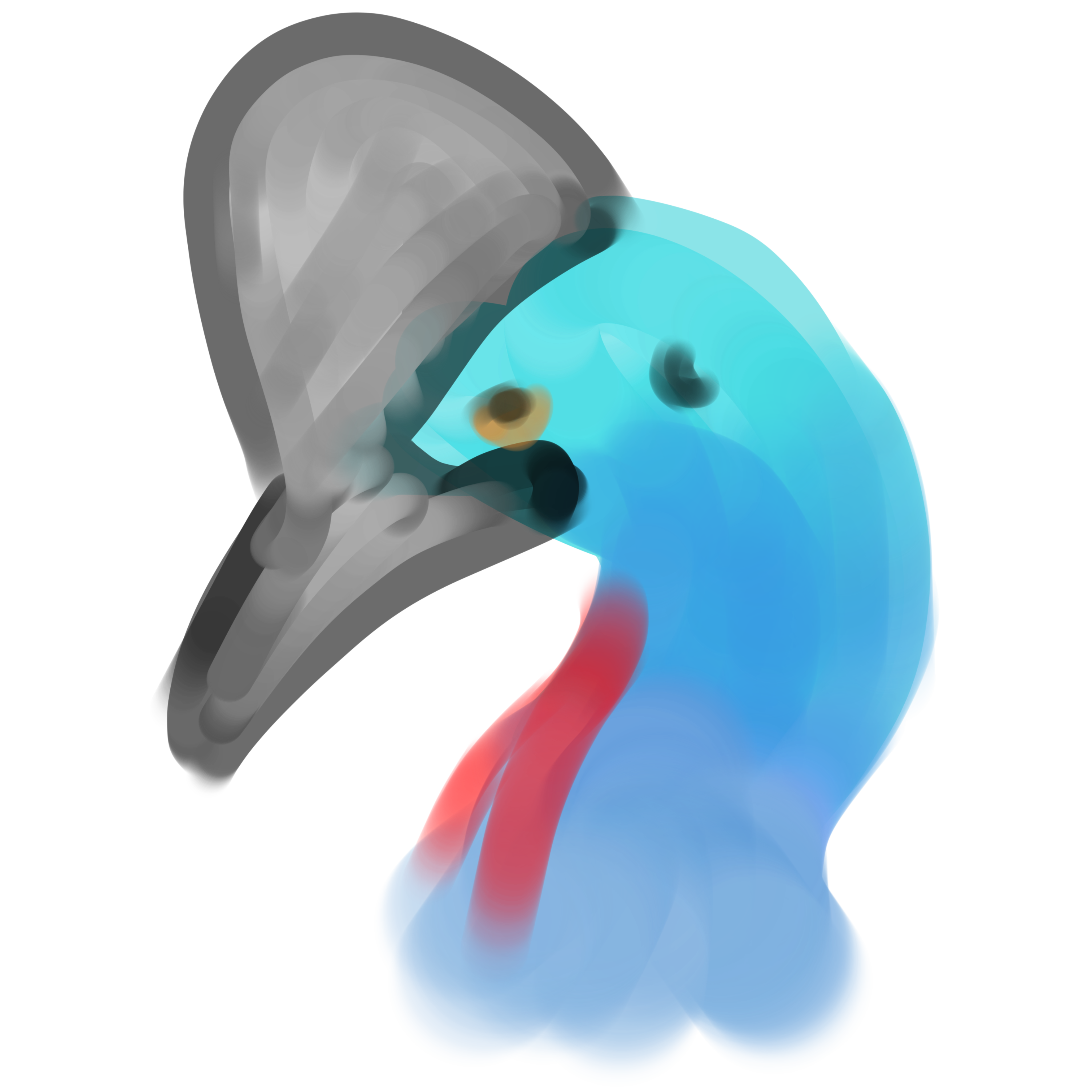 Cassowary Logo 2